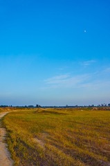 _DSC4458