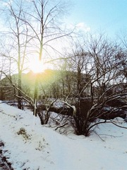 sunshine in the morning （saint-petersburg）