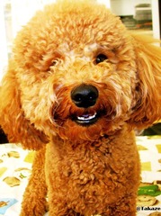 Smile^^