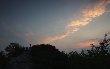 天翼