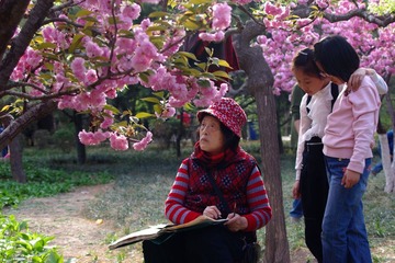寻春
