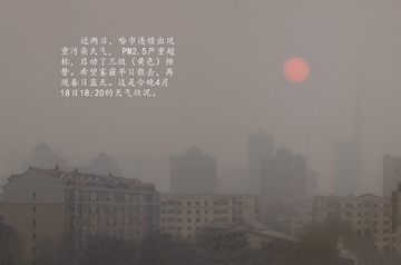 262344