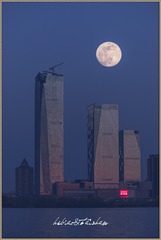 270981