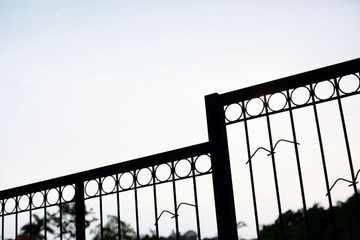 IMG_1082-编辑.jpg