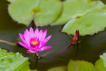 IMG_1939_no_logo
