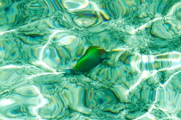 _MG_3681.jpg