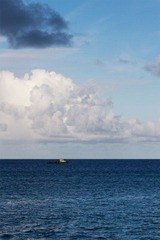 _MG_3807.jpg