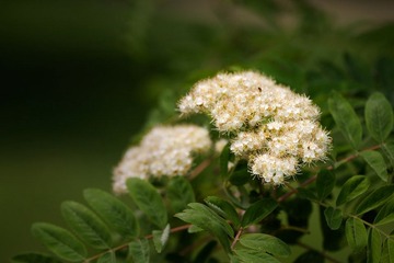 _MG_0301.jpg