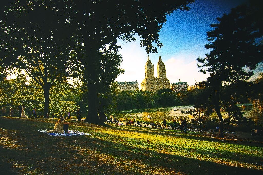 saturday afternoon at central park