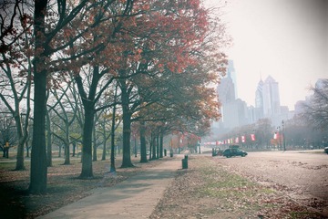 IMG_4229.JPG