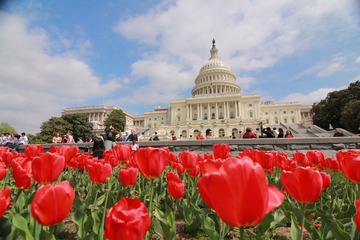 IMG_6254.JPG