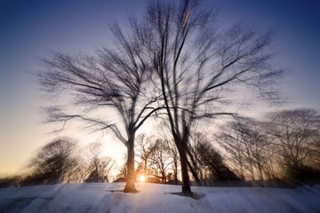 IMG_1193_1.jpg