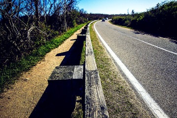 IMG_3052_1.jpg