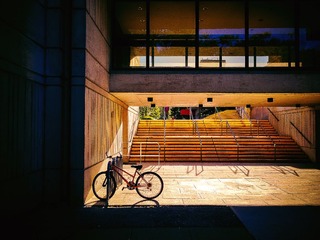 IMG_0456 2