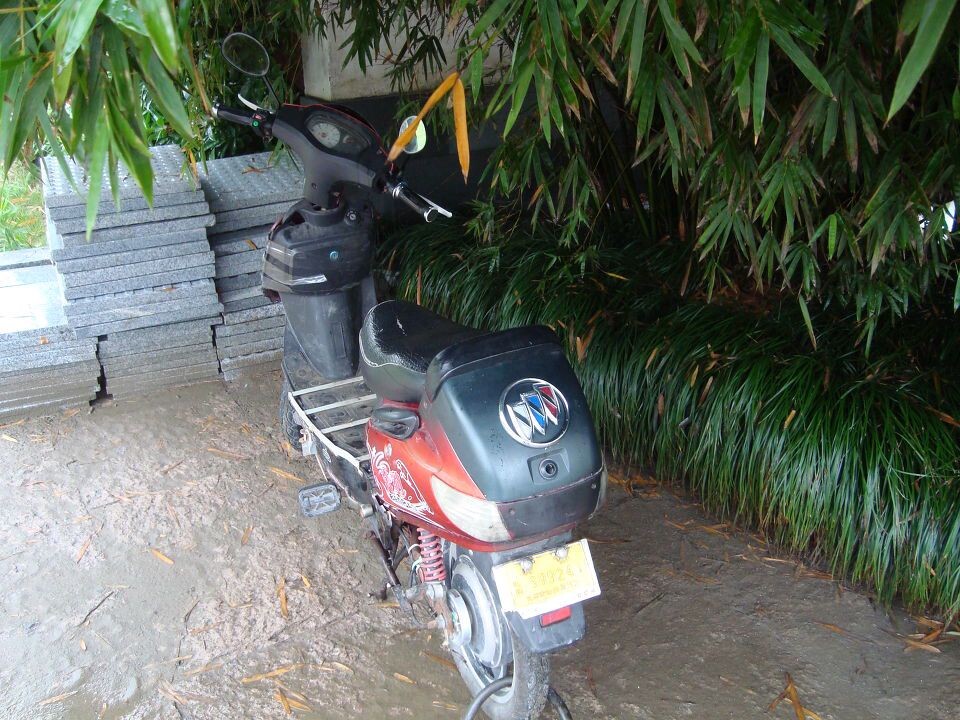                别克牌电动车                