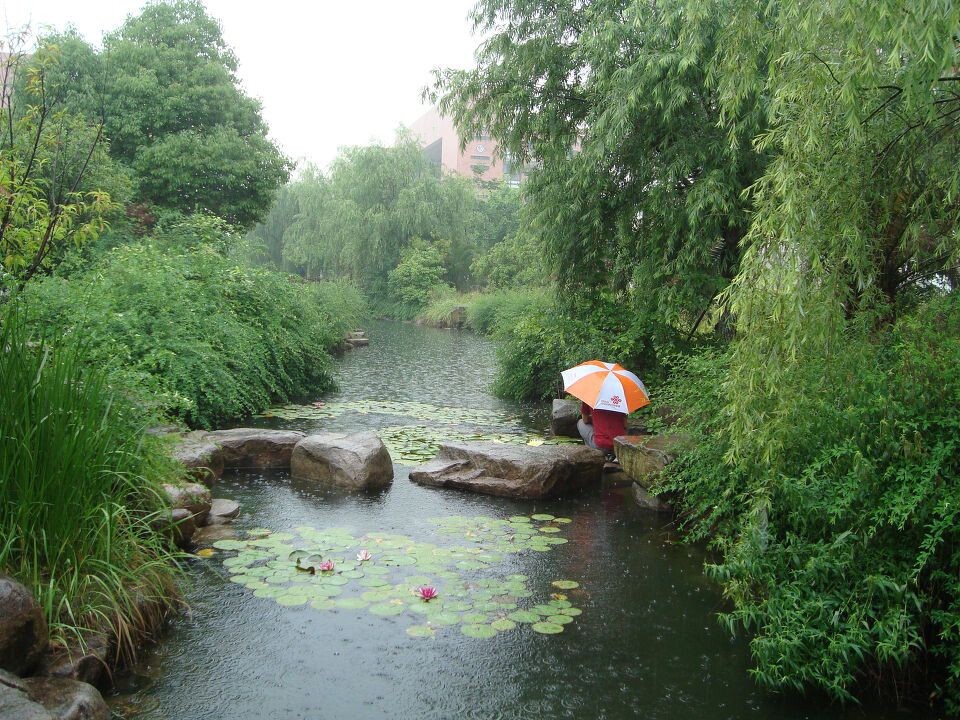                            雨中赏荷的帅哥    