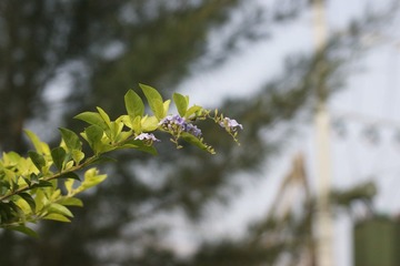 _DSC2121