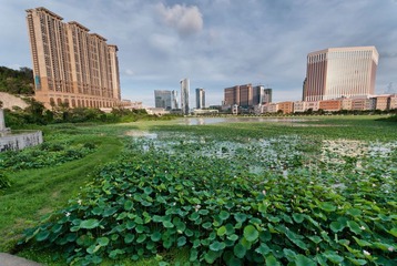 路氹城海邊公路