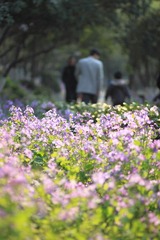 nisss00054