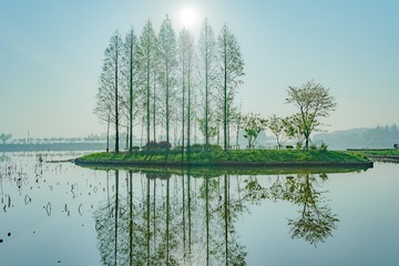 001
