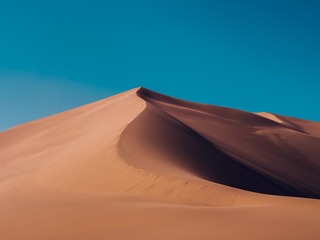 59204