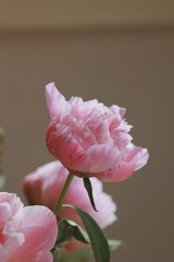FDC7C6B3-7119-472B-8648-7F0CBE669AAD/L0/001