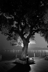 DSC02113.jpg
