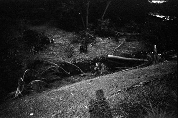 Untitled-24.jpg