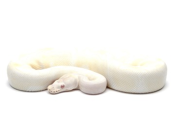 mom&son.jpg