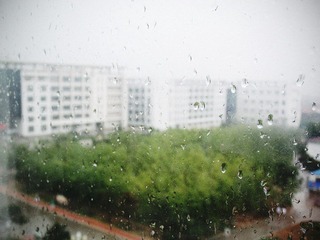DSCF2966.jpg