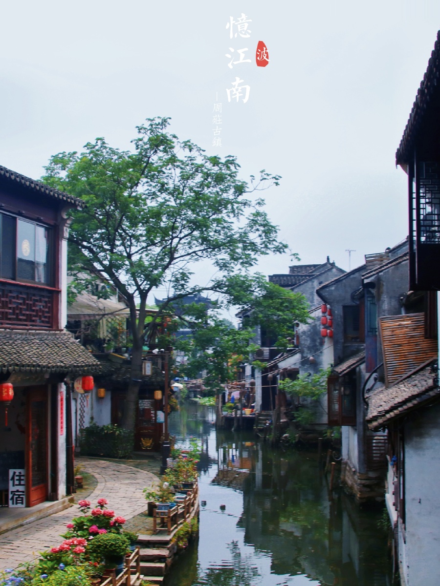 江南古镇—#周庄古镇 - 阿尔法海荣 - 图虫