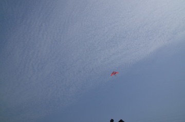 DSC_7010.JPG
