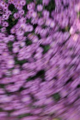 95DC7112-2C34-49BD-9CD2-CAEFAE0863B6/L0/001