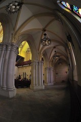 _DSC9236.JPG