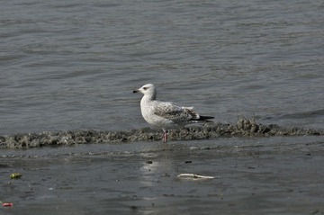 _DSC8803.JPG