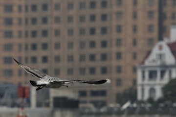 _DSC8884.JPG