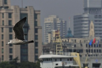 _DSC8894.JPG