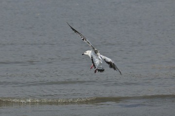 _DSC9006.JPG