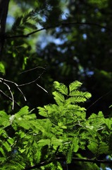 _DSC0741.JPG