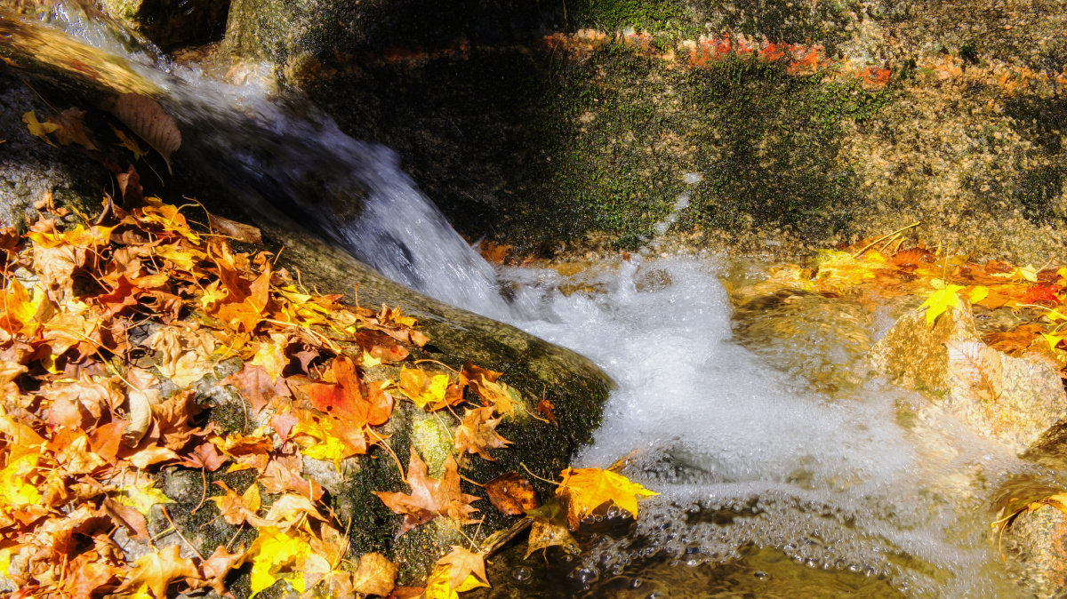 秋叶夹岸的清泉