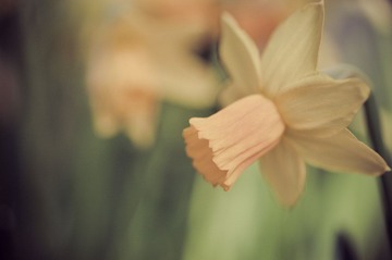 Happy weekend!
