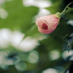 Life is lived in the present. Yesterday is gone. Tomorrow is ye