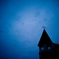 Night is the blotting paper for many sorrows. - Unknown Author