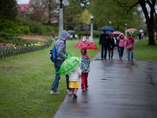 Cute umbrellas