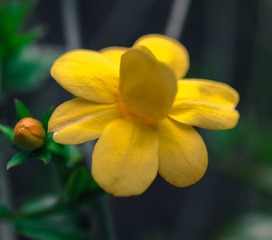 7HA_8066