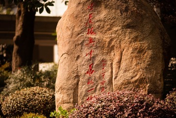 7HA_6378-2