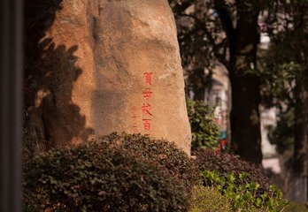7HA_6382-2