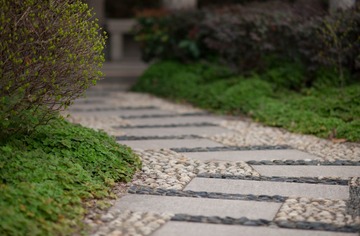 7HA_6394-2