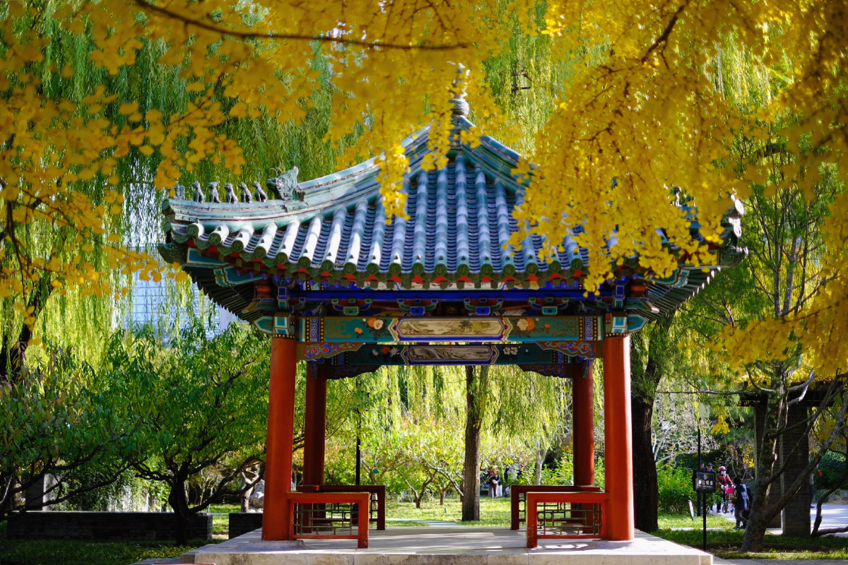 北京月坛公园秋色