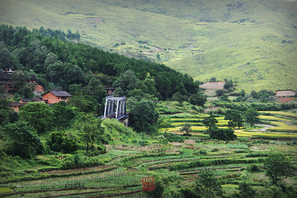 【TRAINS】八月的尾巴 初秋的湖南<一>
還有藏在樹叢中的鐵橋。